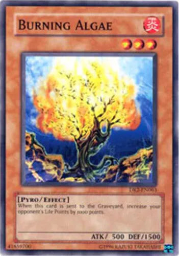 Burning Algae - DR2-EN063 - Common - Unlimited Edition - YuGiOh