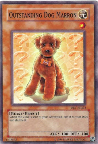 Outstanding Dog Marron - DR1-EN224 - Common - Unlimited Edition - YuGiOh