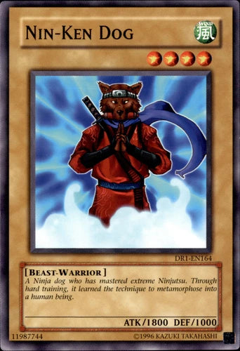 Nin-Ken Dog - DR1-EN164 - Common - Unlimited Edition - YuGiOh