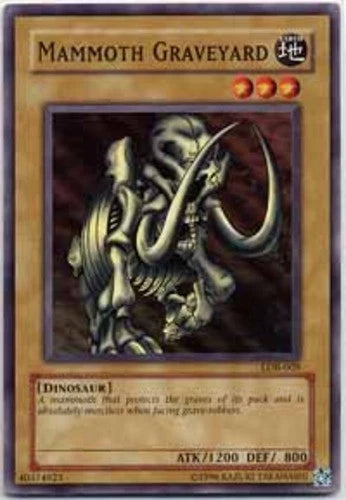 Mammoth Graveyard - SDY-010 - Common - Unlimited Edition - YuGiOh LP